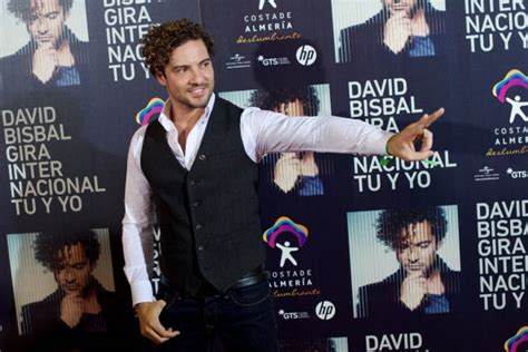 david bisbal net worth|David Bisbal Net Worth 2024: A Stars Musical Fortune